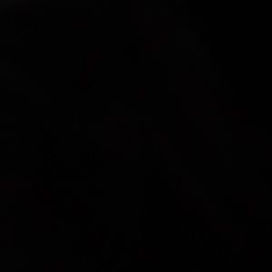 Meet your Posher, Teisha